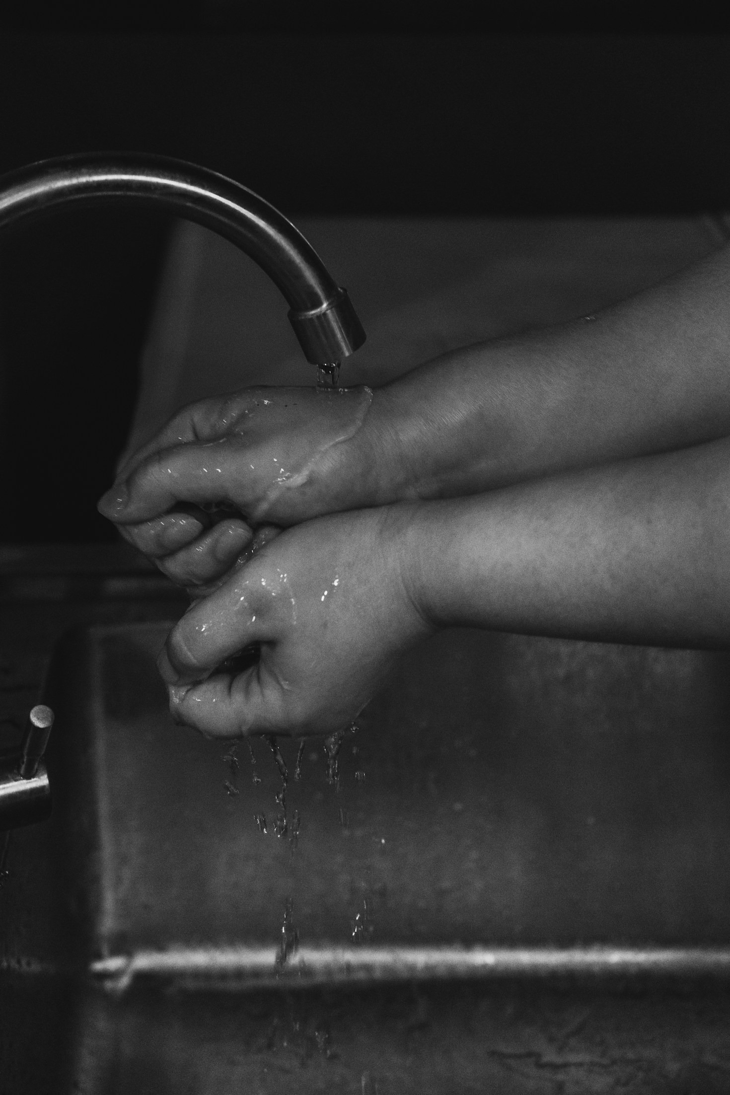 Realizações da ACESA: Um Olhar para o Futuro